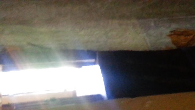 與我豐滿的律師的會面承諾 色情x亚洲 色情女演员