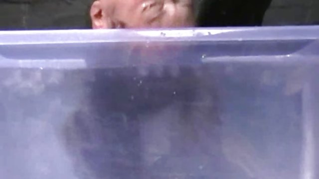 他媽的傢伙，你經常有尾巴！ 高清色情 业余